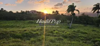 Invierte pensando en un futuro  solares en venta