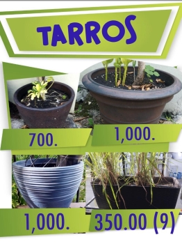 Tarros diferentes precios ver imagen