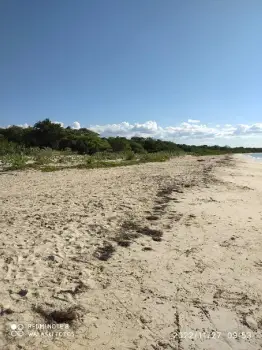 Terreno de 69000 m frente al mar en pedernales con producción de cocos