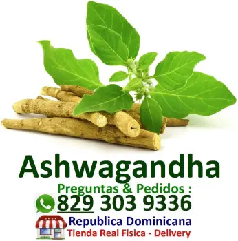 Venta de  ashwagandha parece mejorar la ansiedad asuaganda ashuaghanda
