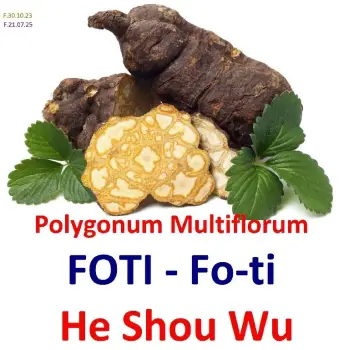 Foti fo-ti he shou wu poligonium multiflorun polygonum planta de la me