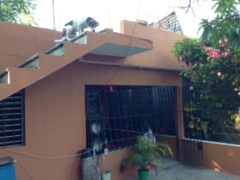 Casa 550m andrés boca chica