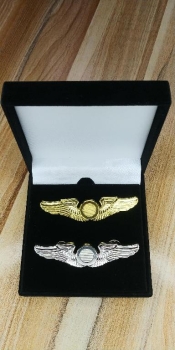 Pin alas de piloto