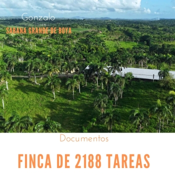 Finca de 2188 tareas de tierra con vocación agrícola y ganadera ideal