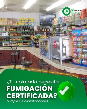 Fumigación en colmado minimarket  bodegas