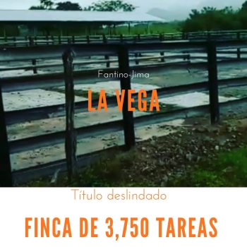 Finca de 3750 tareas ganaderas totalmente equipadas en  la vaga