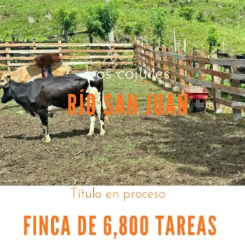 Finca de 6800 tareas con vocación agrícola y ganadera en río san juan