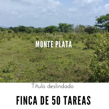 Finca de 50 tareas con vocación agrícola ideal para su casa campestre