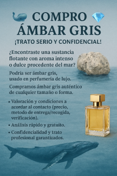 Compro Ámbar gris trato serio y confidencial!