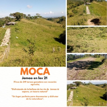 Finca de 219 tareas ganadera en moca
