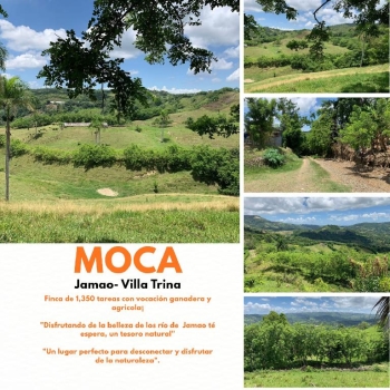 Vendo de oportunidad finca de 1350 tareas apta para ganadería y agricu