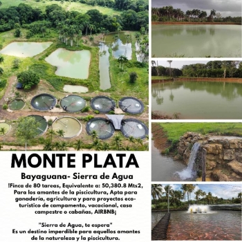 Finca de 80 tareas  para los amantes de la piscicultura con proyecto d