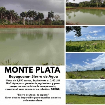 Oportunidad finca de 3850 tareas apta para la ganadería y agricultura