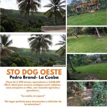 Finca de 3 250 tareas ideal para turismo ecológico y casa campestre o