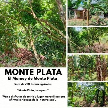 Finca de 750 tareas agrícolas con casa y granja de pollo en monte plat