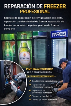 Reparacion de frezers y servicio tecnico profesional. servicio a domic