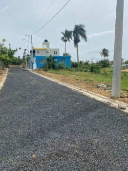 Terrenos económicos listos para construir!