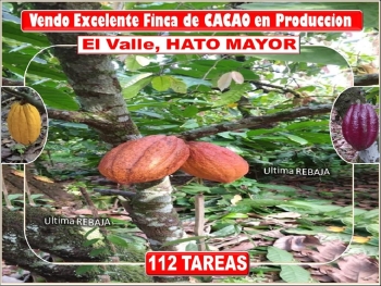 Ultima rebaja en finca de cacao 112 tareas el valle de hato mayor prec