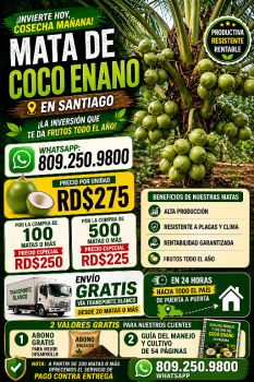Coco enano de alta producciÓn