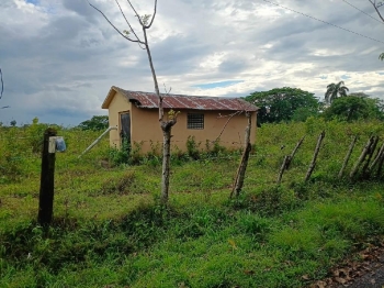 Finca de 207 tareas con vocación agrícola y ganadera con casa a remode