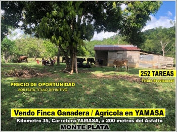 Se vende finca 252 tareas en el km.  35 de yamasa super rebajada solo