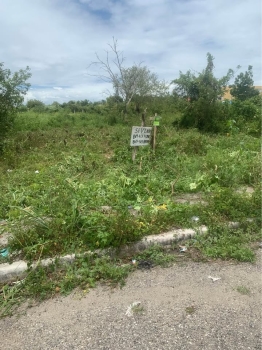 Solar en boca chica