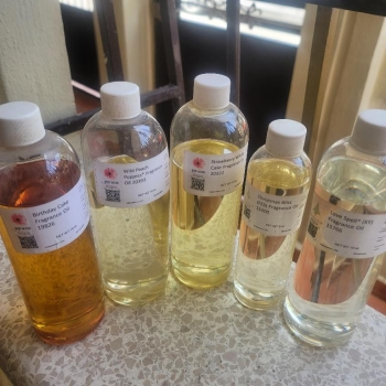 Fragancias aceites esenciales just scent