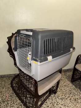 Jaula de transporte para perro
