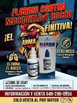 Gotero contra rocco y moquillo en los gallos de pelea