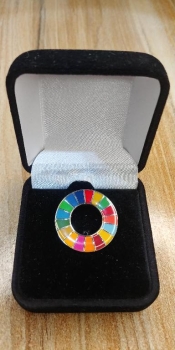Pin agenda 2030 en santo domingo
