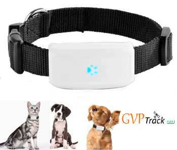 Rastreador gps para mascotas en santo domingo dn