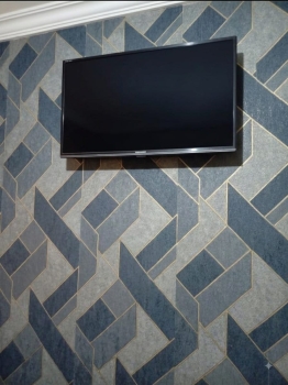 Venta de televisión negociable en santo domingo este