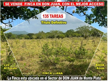 Vendo finca ganadera – agricola de 135 tareas en don juan monte plata