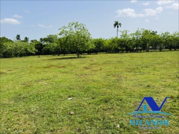 Finca ganadera de 825 tareas en venta