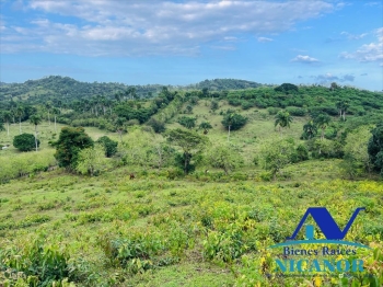 Finca de 5200 tareas en venta