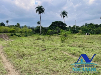 Finca de 2300 tareas en venta