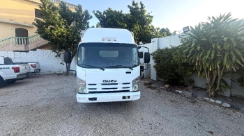 Camion isuzu npr 2013
