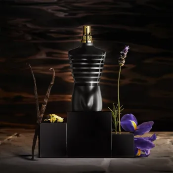 Jean paul gaultier le male le parfum en santo domingo este