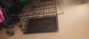 Jaula o transportin para perros