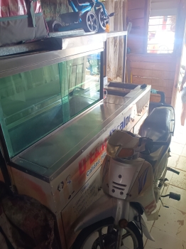 Se vende carrito industrial de comidas fritas freiduras