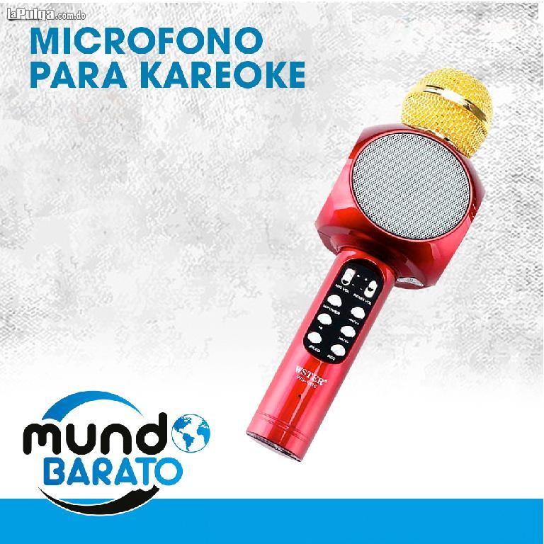 Microfono Inhalambrico Altavoz Luces Led Karaoke Foto 6672763-5.jpg