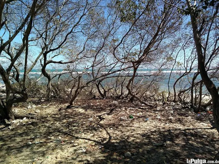 Azua Terreno 20millones Mt2 Con 12km. De Playa De Arena Blanca