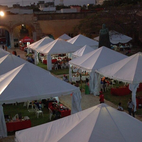 Alquiler de Carpas para eventos. Activ. Fiestas. Carpa de dif. tamaños Foto 6859700-19.jpg