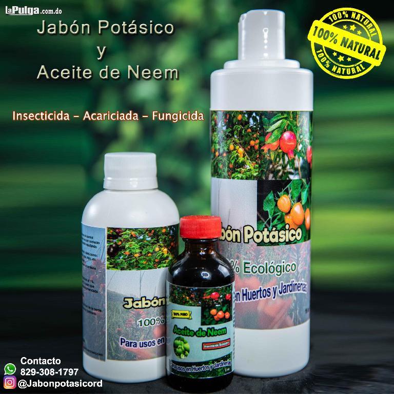 Aceite neem y jabón potásico Acaba con el 99.9% de todas las