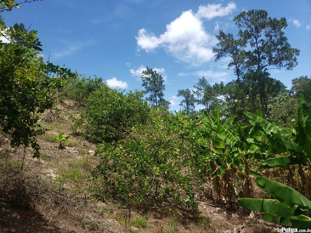 Finca De 130 Tareas En Jumunuco