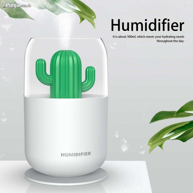 Humidificador Mini USB Cactus hogar dormitorio pulverizador de aire sa Foto 6970630-5.jpg