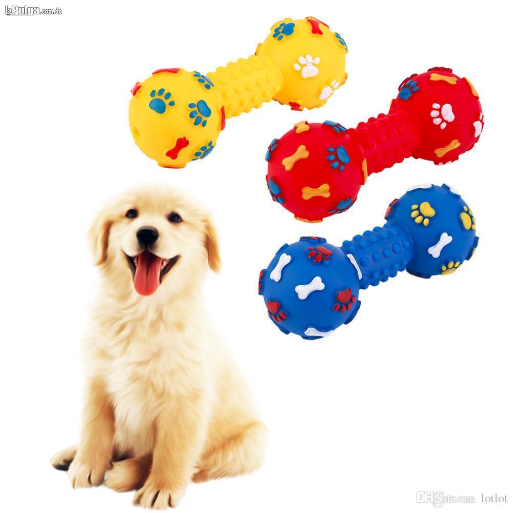 Juguete para perro colorido punteado en forma de Squeeze Ruidoso masco Foto 6980295-2.jpg