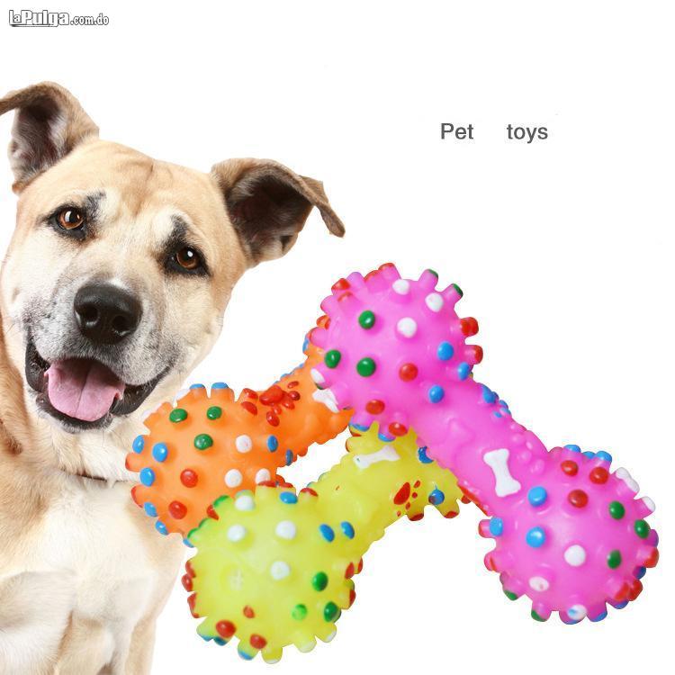 Juguete para perro colorido punteado en forma de Squeeze Ruidoso masco Foto 6980295-5.jpg