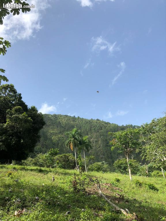 Finca De 130 Tareas De Venta En Jarabacoa