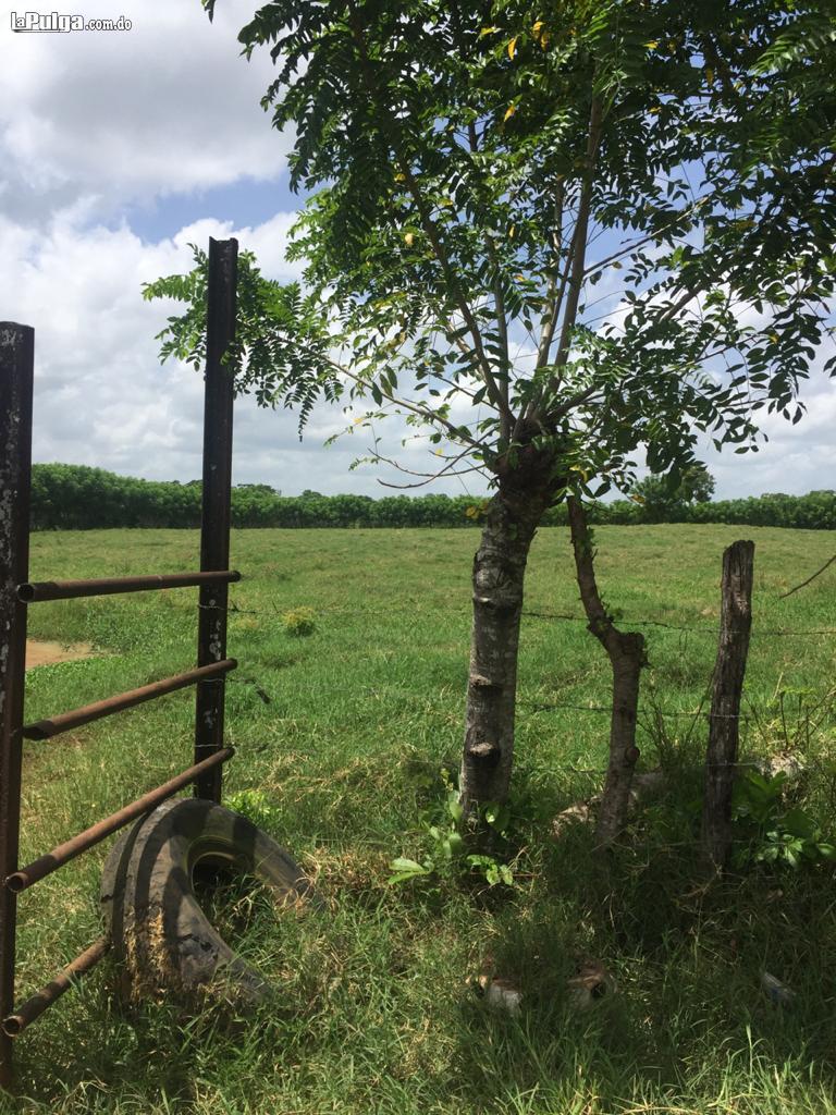 Finca De 1900 Tareas De Venta En Monte Plata